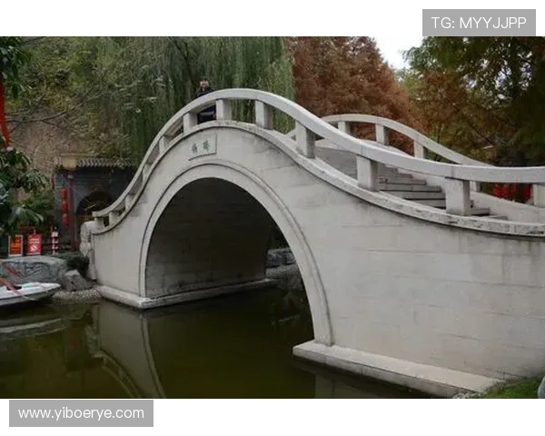 西安乒乓球队速度分析与提升策略探讨之旅