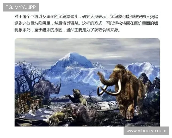 探索奥蓬达的魅力与神秘揭示其背后的文化与历史故事