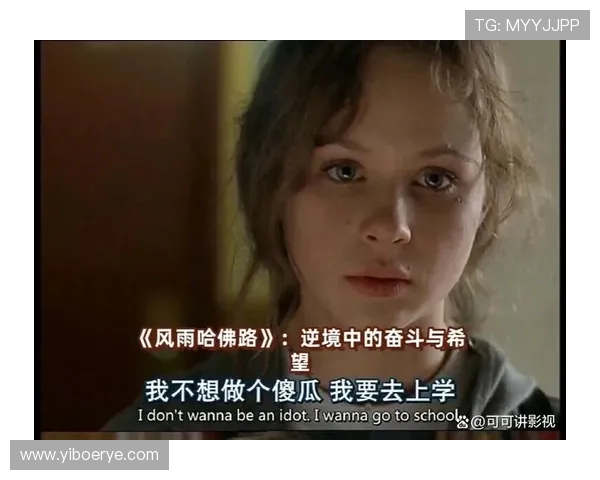 沈梓捷的成长之路：从青涩少年到职场精英的奋斗故事