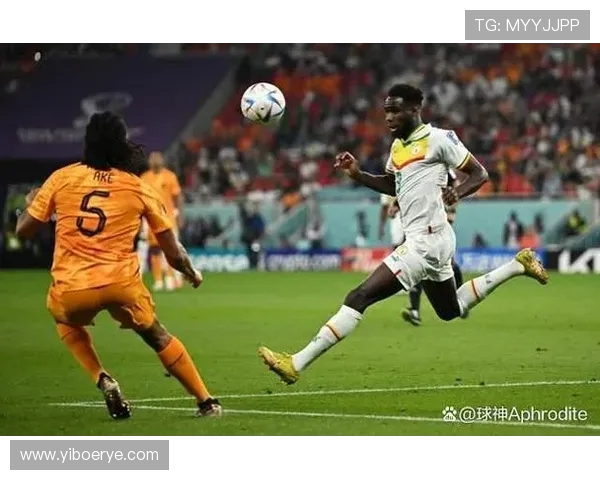 韩国与塞内加尔精彩对决回顾赛场瞬间与战术分析全记录 韩国与塞内加尔精彩对决回顾赛场瞬间与战术分析全记录