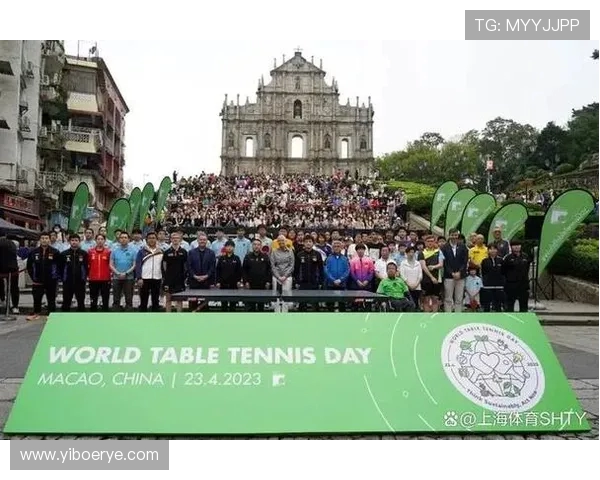 重庆排球队的拼搏之路：大师赛背后的奋斗与荣耀